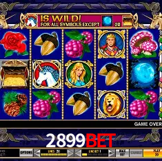 2899bet Rio de Janeiro - Bonus Terms